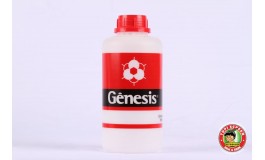 Cola Permanente - Gênesis